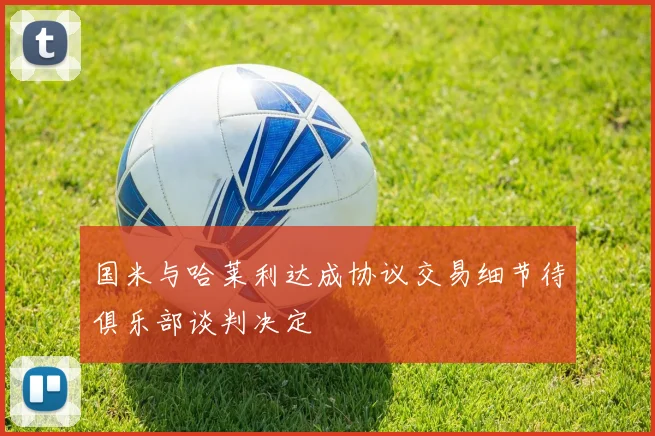 国米与哈莱利达成协议交易细节待俱乐部谈判决定