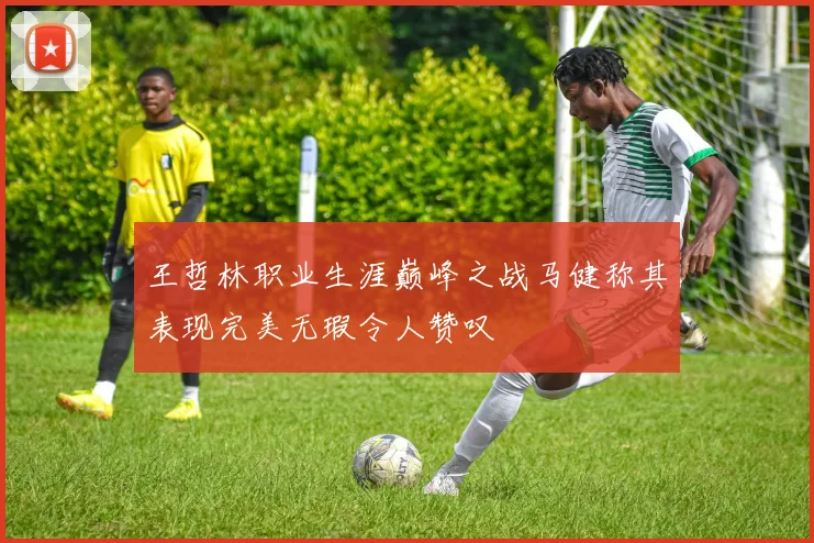 王哲林职业生涯巅峰之战马健称其表现完美无瑕令人赞叹